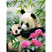 Картина по номерам GX-23209 "Панды в цветах" 40х50см